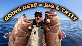 FISHING THE DEEP for tasty treats  Bar Cod Snapper Pearl Perch Kingfish  Deep Dropping [upl. by Bouzoun]