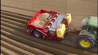 Grimme GL430 www keller technik [upl. by Benil]