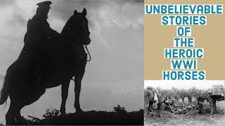 The Unbelievable Horses Heroic WWI Horses  True Stories  Equestrian History [upl. by Sahcnip309]