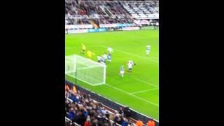 Newcastle 01 Everton  Cleverley goal 90th minute [upl. by Anasus]