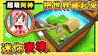 Minecraft 螞蟻の小世界【你的按鈕我來藏】😂 把整個世界【裝進箱子裡】最後一個【100絕對找不到】 全字幕 [upl. by Whitten]