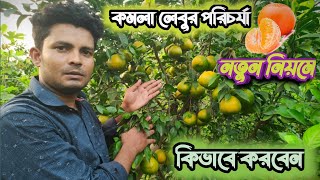 কমলা লেবুর পরিচর্যা নতুন নিয়মে কিভাবে করবেন 🍊 [upl. by Notgnilra170]