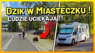 Dzień w Kamperze Dzik w Miasteczku Camper Park Darłówko Kamperem Nad Morze [upl. by Itram]