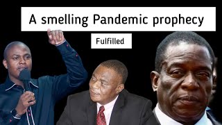 BREAKING Prophecy yekunhuwa fulfilled by Apostle Chiwenga [upl. by Hardej]