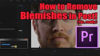 How to Remove BlemishesPimples in Premiere really  Tip Tuesday Episode 027 [upl. by Chevalier781]