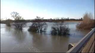 THAMES IN FLOOD 11th Jan 2014 Wallingford to Moulsford [upl. by Arinay]