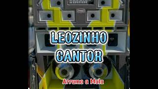 Leozinho Cantor direto de Belterra  PA Arruma a MalaBiguinhoSensacaooficial [upl. by Three]