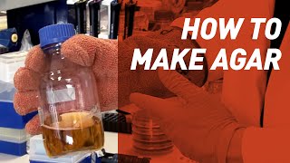 How to make Agar  Singer Instruments [upl. by Aziaf]