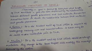 Concept of Gene Fine structure [upl. by Ettenuahs]