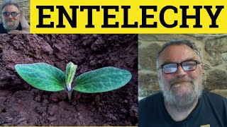 🔵 Entelechy Meaning  Entelechy Examples  Philosophy  Define Entelechy  Entelechy Explained [upl. by Richelle630]