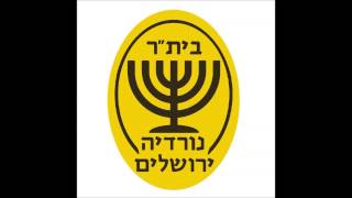 צלילי העוד  מנורה על החולצה וכדורגל מברזיל [upl. by Leslie]