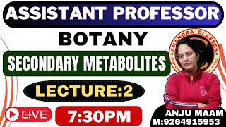 PLANT SECONDARY METABOLITES  LECTURE 2 BY ANJU MAM [upl. by O'Neill]