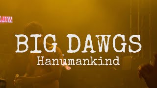 Big Dawgs  Hanumankind  Live performance at Sunburn Union [upl. by Damha]