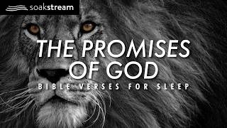 Experience MIRACULOUS Sleep with 100 POWERFUL Bible Verses [upl. by Goda]