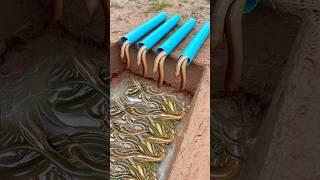 Survival Skills Simple But Very Useful with eel trap shorts survival bushcraft outdoors [upl. by Ver960]