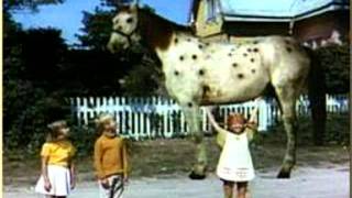 Pippi Langstrumpf und das pferd hostet im ts bei smokeymoe [upl. by Gatias184]