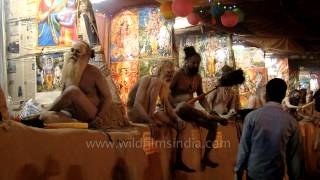 Taking blessings from the holy ones Gangasagar mela [upl. by Yemane]