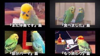 パロディ動画【ホットペッパーアフレコCM】4篇まとめ [upl. by Emanuel]