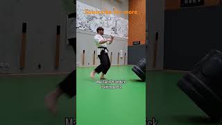 Mae Geri Push Kick Training Part 2 by Dennis Kempo for Shaolin Kempo Karate Kongfu kick Kihon Waza [upl. by Llenrup]