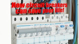 How circuit breakers can save your life  MCB RCCB Galvanic Isolation [upl. by Hoye]