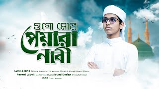 ওগো মোর পেয়ারা নাবী  Ogo Mor Peyara Nabi [upl. by Ahsratan274]