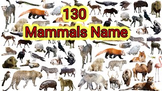 domestic AnimalVocabulary l130 Mammals Name In English With PictureslAnimals Name in Englisheducare [upl. by Murat]