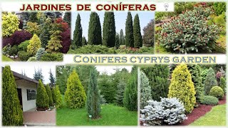 Jardines de coniferas 🌲🌲🌲 [upl. by Elleunamme245]