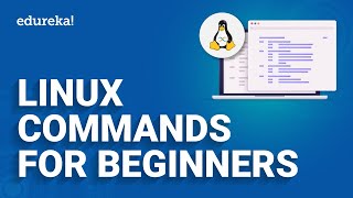 Linux Commands  Basic Linux Commands for Beginners  Edureka [upl. by Bonnice256]