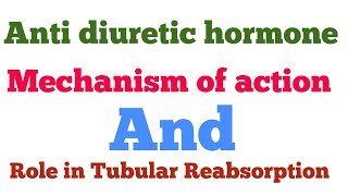 Anti diuretic hormoneADH Mechanism of action  Role in water Reabsorption  Diabetes insipidus [upl. by Zerk]