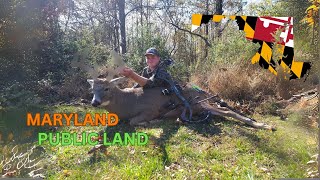 Maryland Public Land Archery Buck [upl. by Assisi]