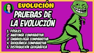 Pruebas científicas de la evolución  Evolución [upl. by Aley]