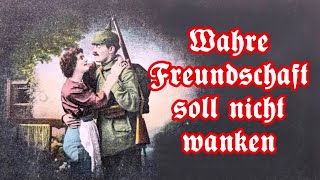 Wahre Freundschaft soll nicht wanken  VolksliedGerman Folk Song  English translation [upl. by Onailerua878]