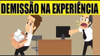 🔴 DEMISSÃO NO PERÍODO DE EXPERIÊNCIA  Fui demitido o que eu recebo [upl. by Fanchie]