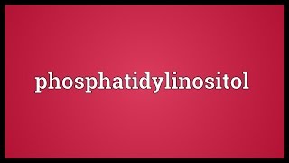 Phosphatidylinositol Meaning [upl. by Mitchel]