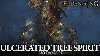 Ulcerated Tree Spirit Boss Fight No Damage Elden Ring [upl. by Un]