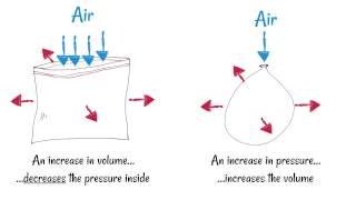 Inhaling and Exhaling  How breathing works [upl. by Etnuaed]