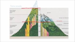 Geographie einfach gemacht Vergleich Alpen  Anden [upl. by Nylodam]