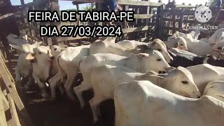 Pesquisas de preços nos currais em Tabira PE 270324 Genecititanico [upl. by Luca216]