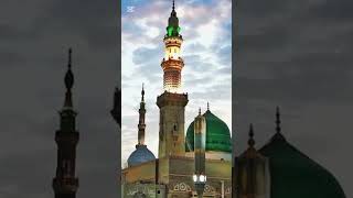 Jashn e Amad e Rasool  Farhan Ali Qadri islam freepalestine shorts youtubeshorts shortvideo [upl. by Ris583]