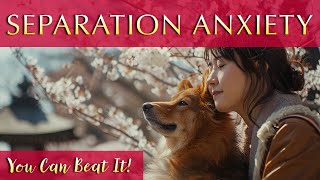 Beat Separation Anxiety 🐾 Relaxing Music for Upset Dogs [upl. by Nelly]