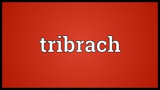 Tribrach Meaning [upl. by Snodgrass]