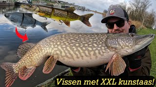 SNOEKVISSEN MET XXL KUNSTAAS VANAF DE KANT [upl. by Anned]