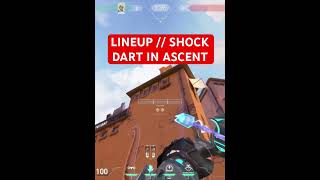 LINEUP  SOVA SHOCK DART IN ALL OVER ASCENT valora valorant valoranatgame riotgame sovalineup [upl. by Anelhtak]