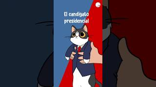 😺El Candigato Presidencial 🐈 [upl. by Windy]