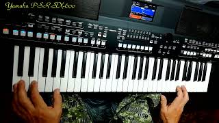 Modern Talking quotYou Can Win If You Wantquot cover Yamaha PSR SX600 [upl. by Oneil701]