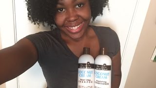 RenPure Coconut Creme Shampoo amp Conditioner DemoReview [upl. by Soirtemed]