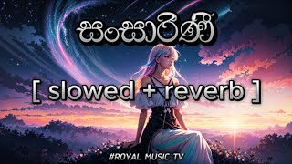 SANSARINI  SINHALA SONG  slowed  reverb  viralvideo foryou music [upl. by Nawad335]