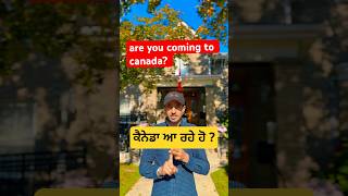 Are You Coming To Canada 🇨🇦 ਕੈਨੇਡਾ ਆ ਰਹਿ ਹੋ 🍁 shorts [upl. by Ttevy]