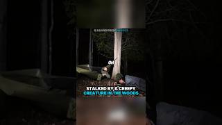 Stalked By Creepy Creature In The Woods 😱 [upl. by Cohn221]