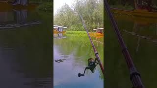 Lake Fishing fishing fish fishingdesire [upl. by Attenauq]